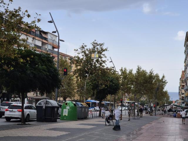 Local, Benidorm