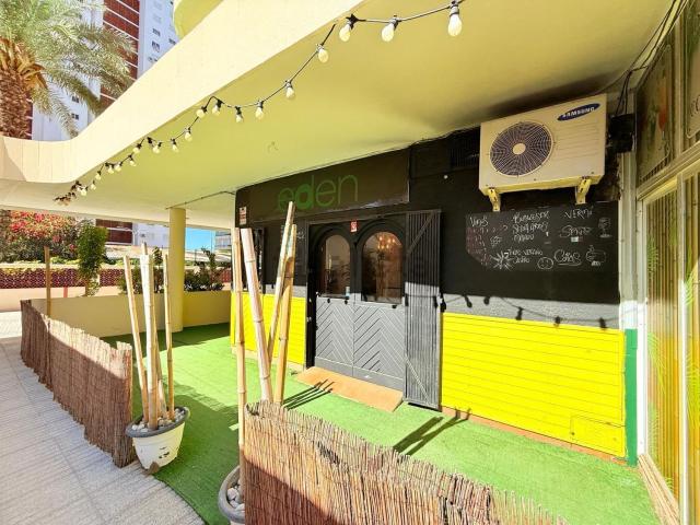 Local, Benidorm