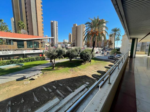 Local, Benidorm