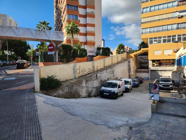 Local, Benidorm