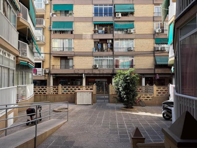 Local, Benidorm