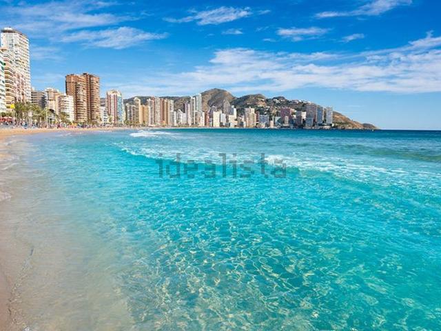 Local, Benidorm