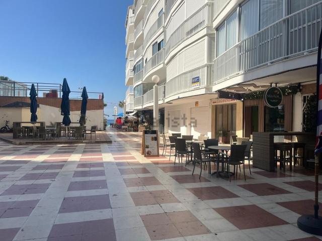 Local, Benidorm