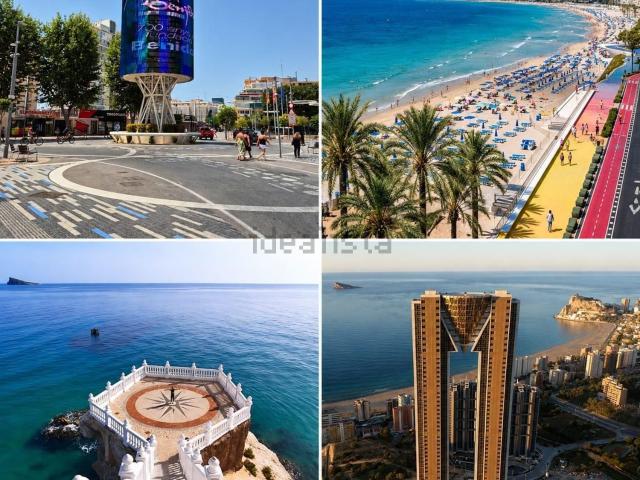 Local, Benidorm