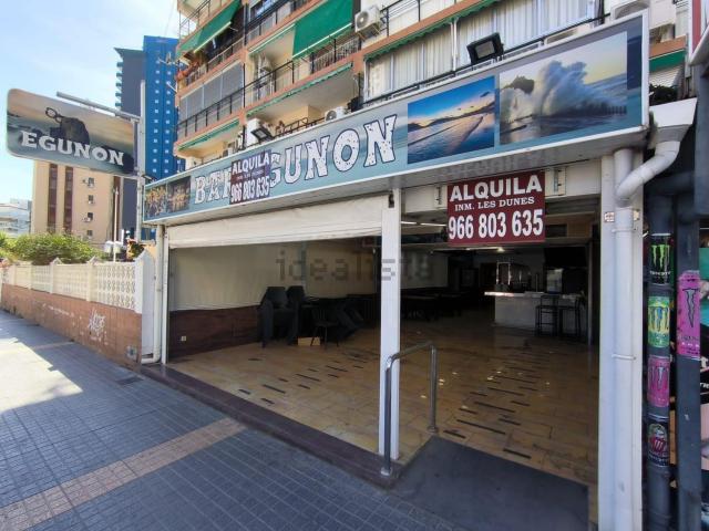 Local, Benidorm