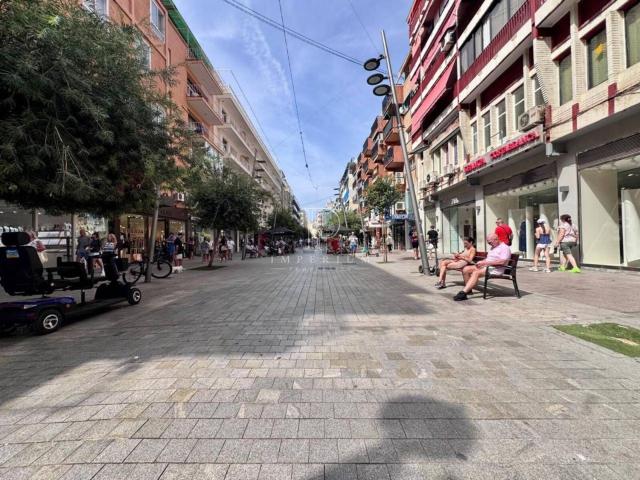 Local, Benidorm