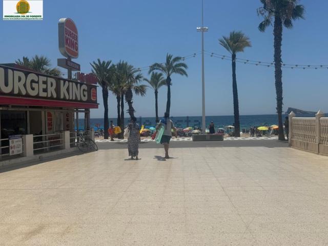 Local, Benidorm