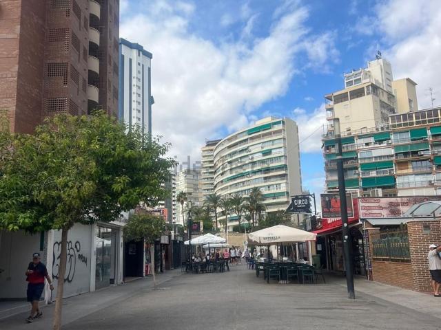 Local, Benidorm
