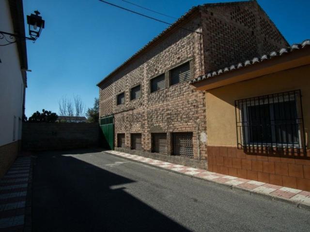 Local, Belicena