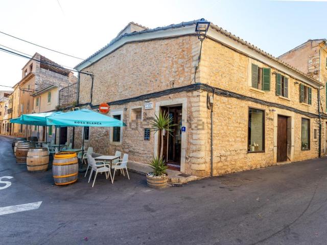 Local, Binissalem