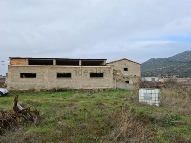 Local, Biosca