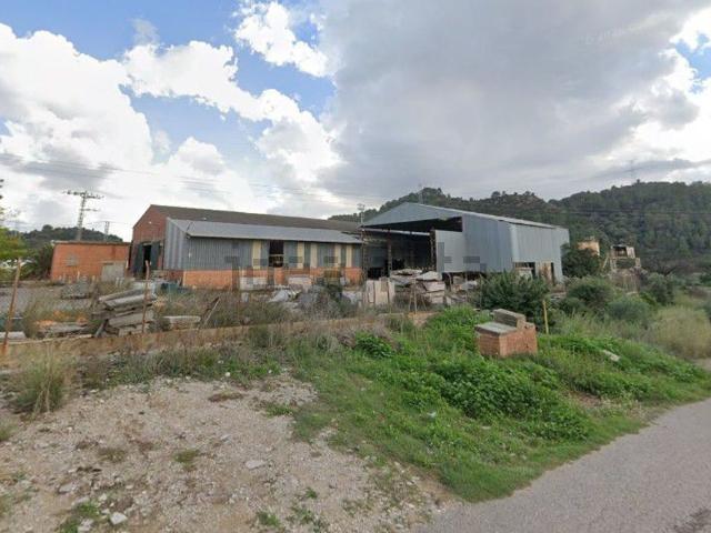 Local, Borriol