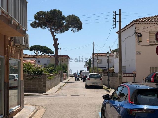 Local, Blanes