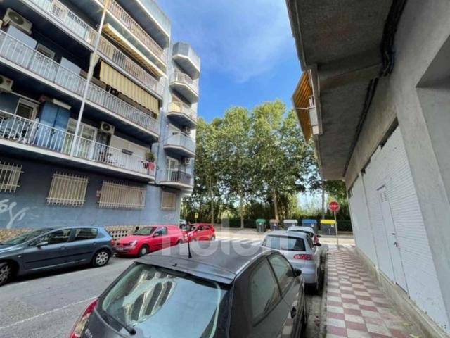 Local, Blanes