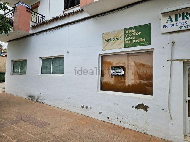 Local, Brozas