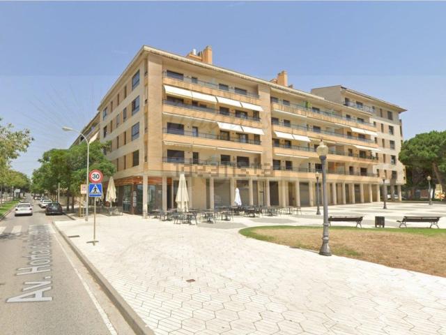 Local, Cambrils