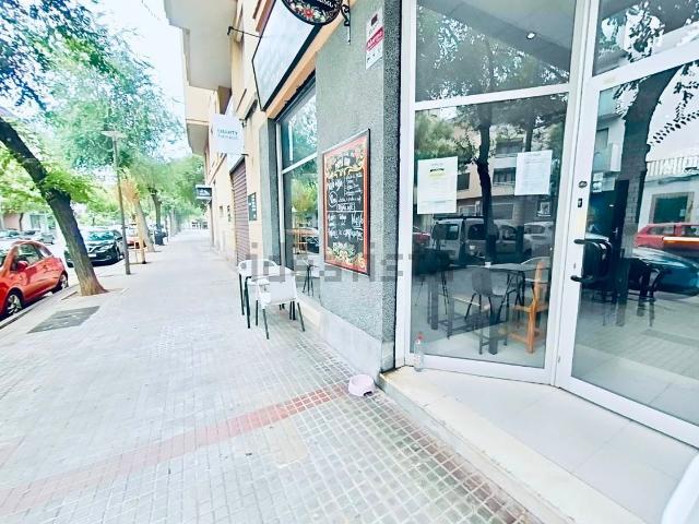 Local, Camp Redo, Palma de Mallorca
