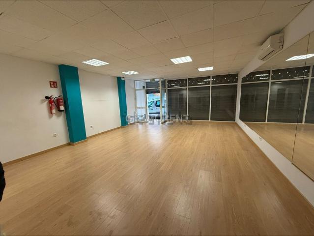 Local, Camp Redo, Palma de Mallorca