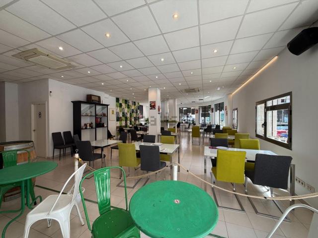 Local, Camp Redo, Palma de Mallorca