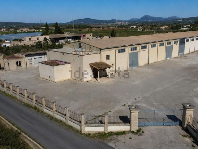 Local, Manacor
