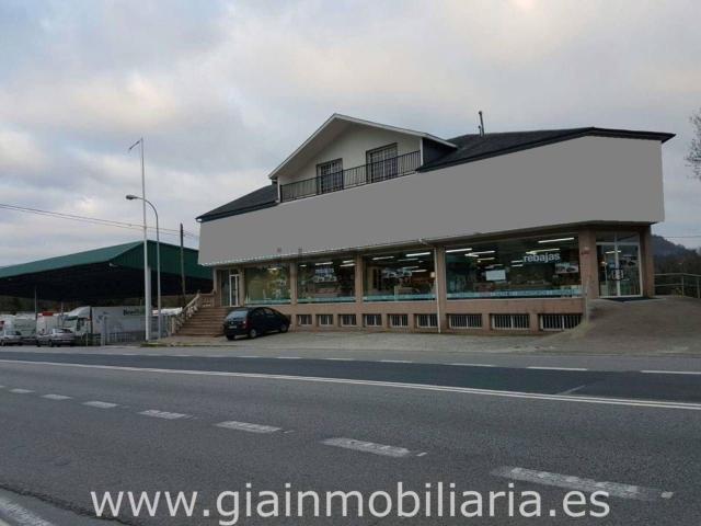 Local, Campañó