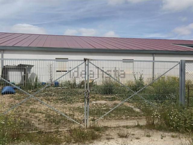 Local, Cantalapiedra