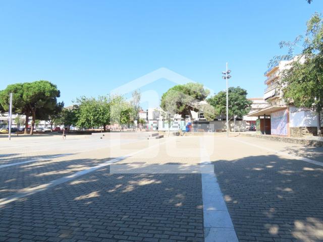 Local, Canovelles