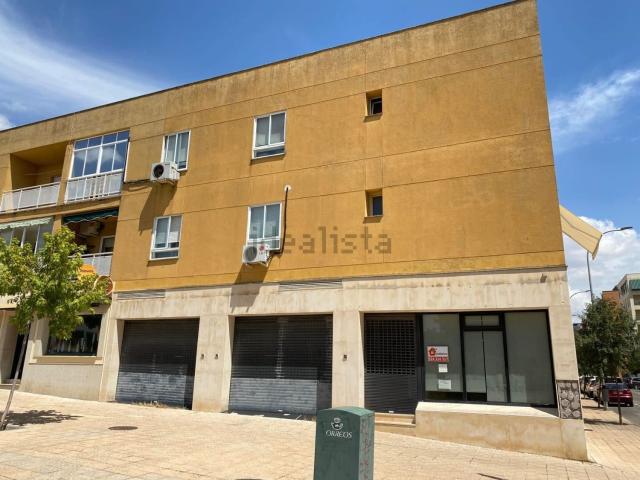 Local, Cáceres