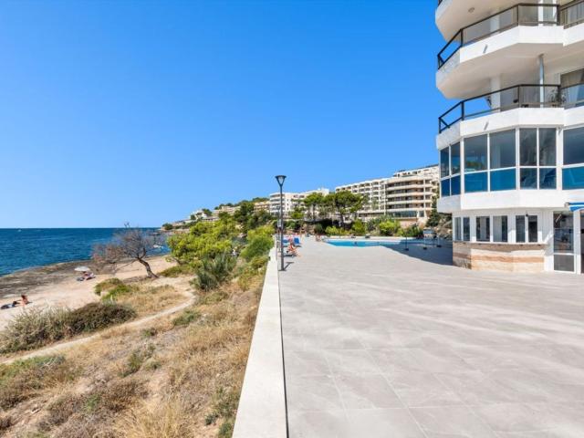 Local, Calvià