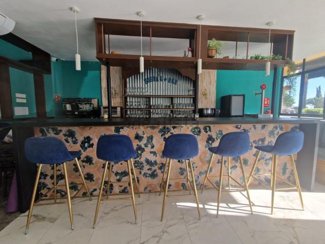 Local, Calvià