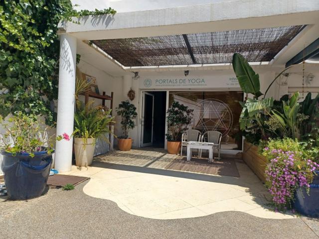 Local, Calvià