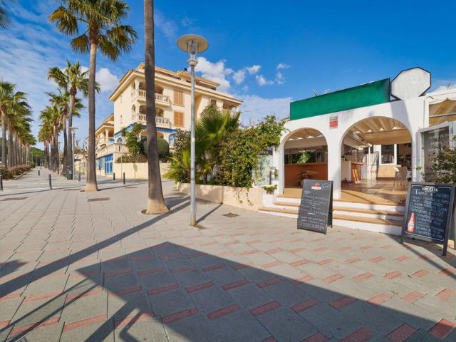 Local, Calvià