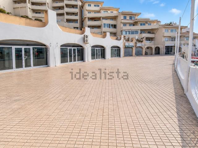 Local, Calvià