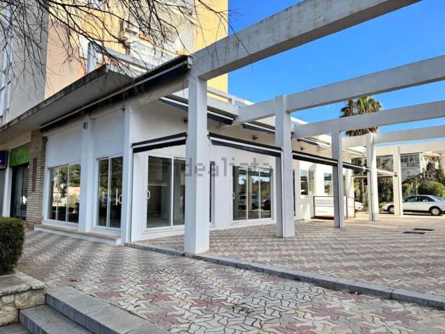 Local, Calvià
