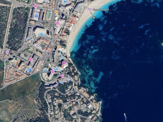 Local, Calvià