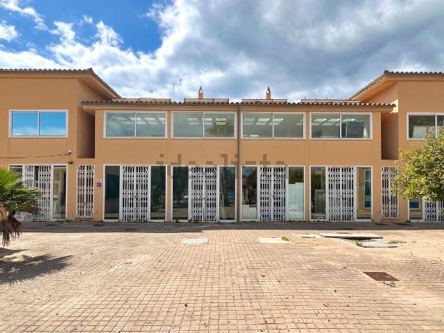 Local, Calvià