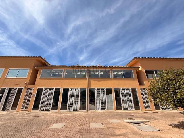 Local, Calvià