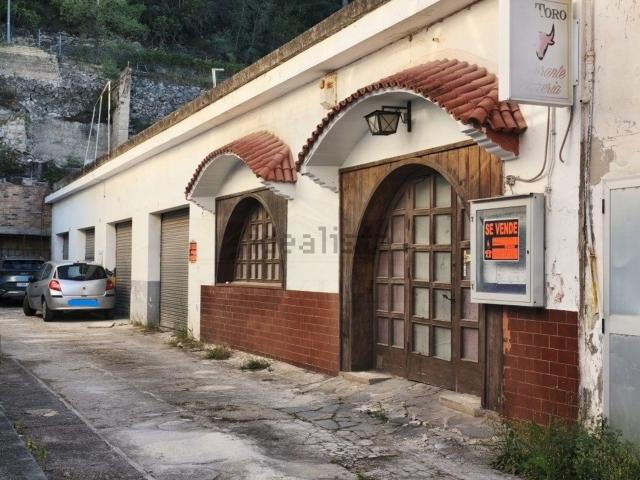 Local, Calvià