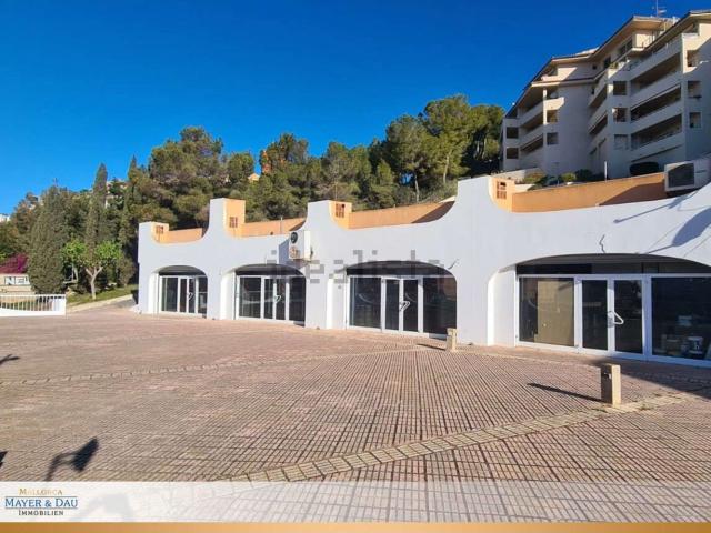Local, Calvià