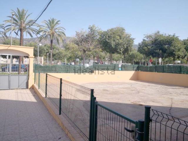 Local, Calvià