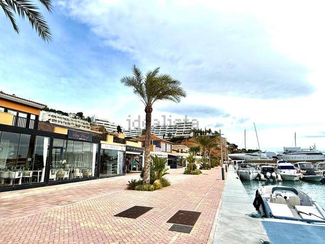 Local, Calvià