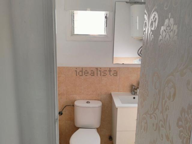 Local, Calvià