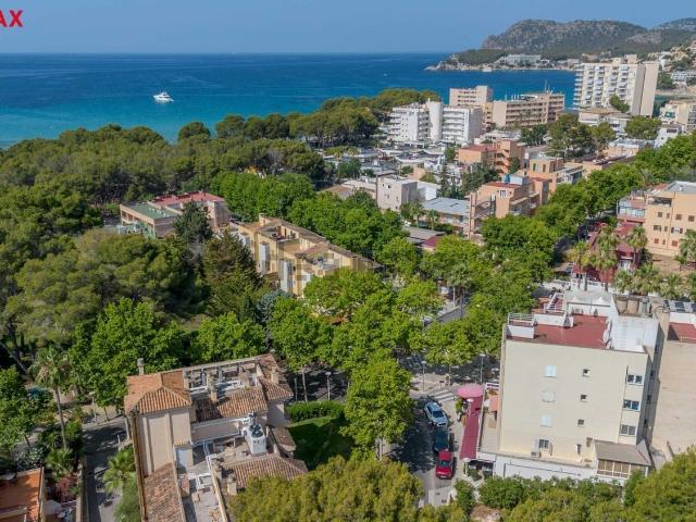 Local, Calvià