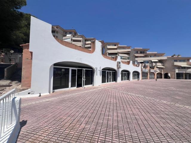 Local, Calvià