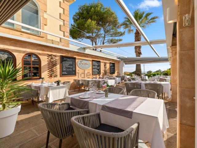 Local, Calvià