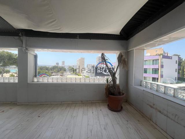 Local, Calvià