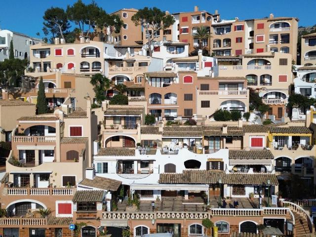 Local, Calvià