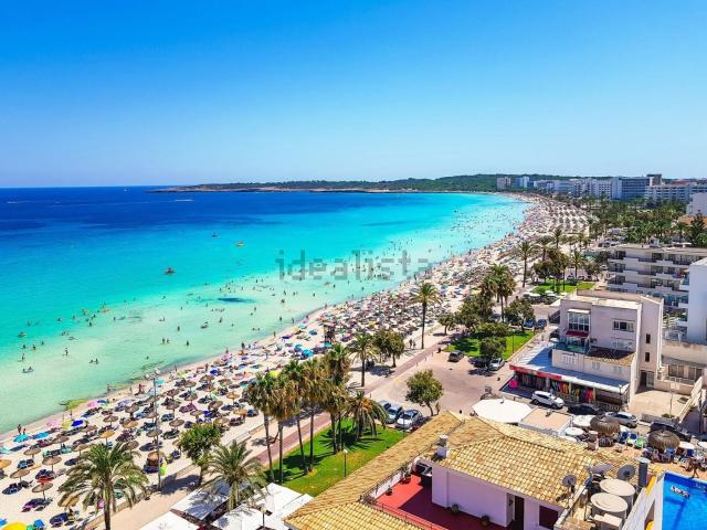 Local, Cala Millor