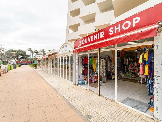 Local, Cala Millor