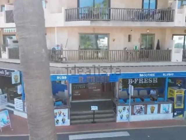 Local, Cala Millor